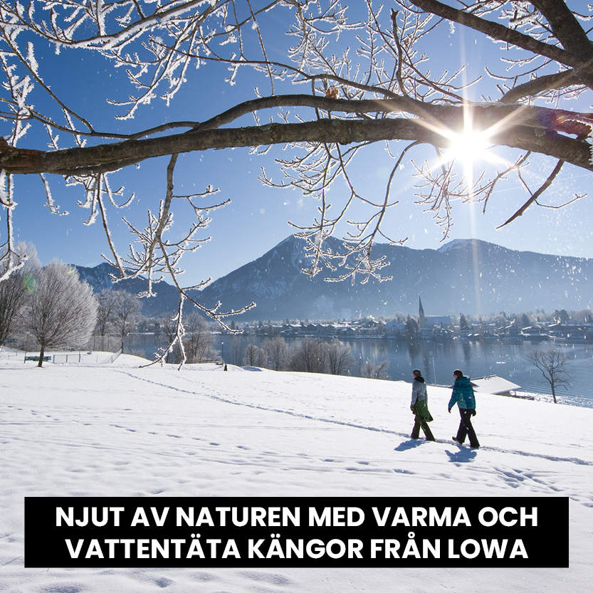 Black Friday kampanjrutor