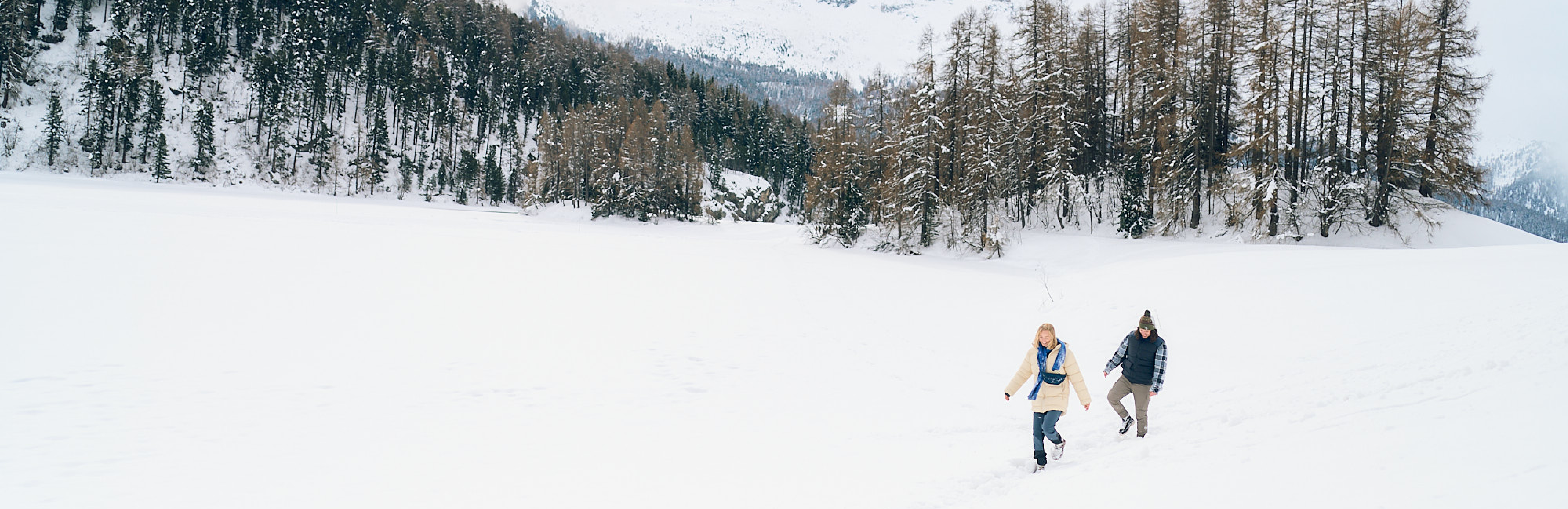 Black Friday kampanjrutor